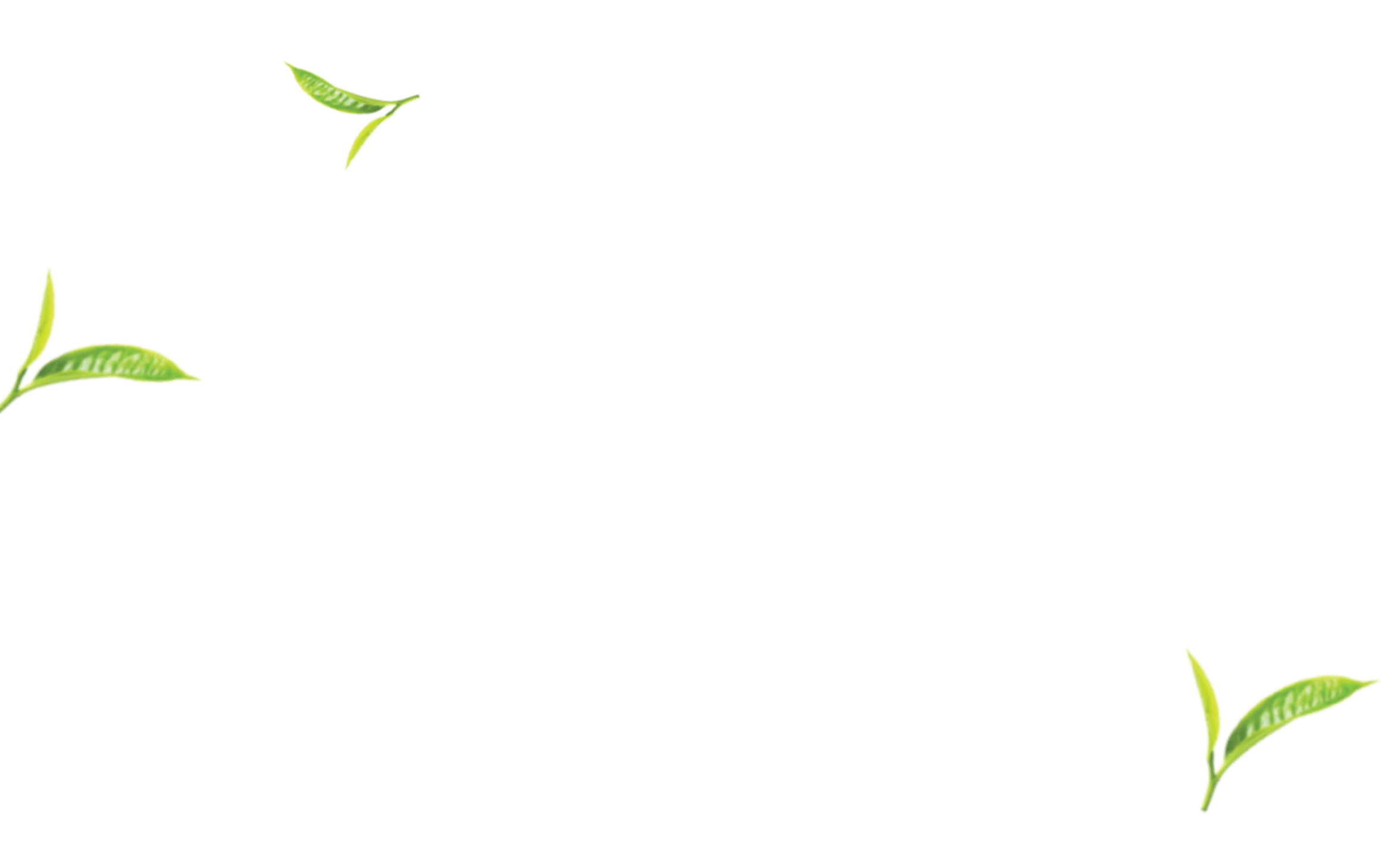 Lístek